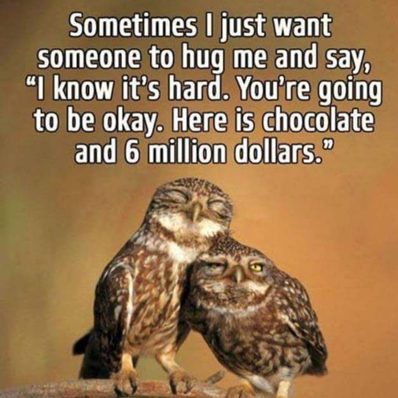 Hi, I'm your Posh Ambassador, Chez. Welcome - Picture 2 of 6